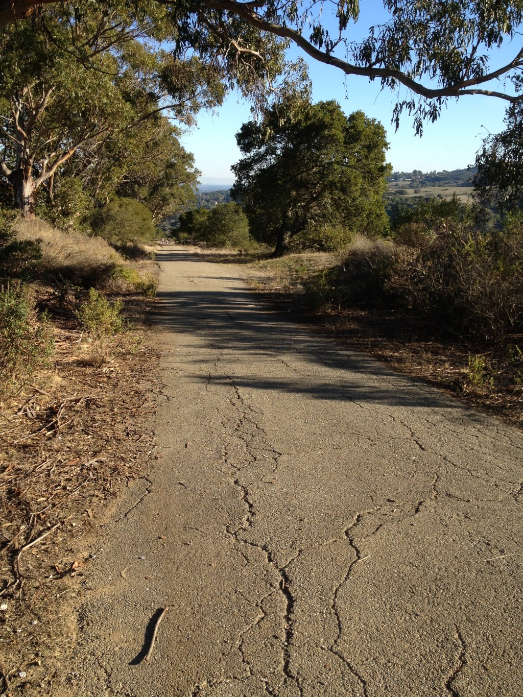 Two roads diverged in a wood…